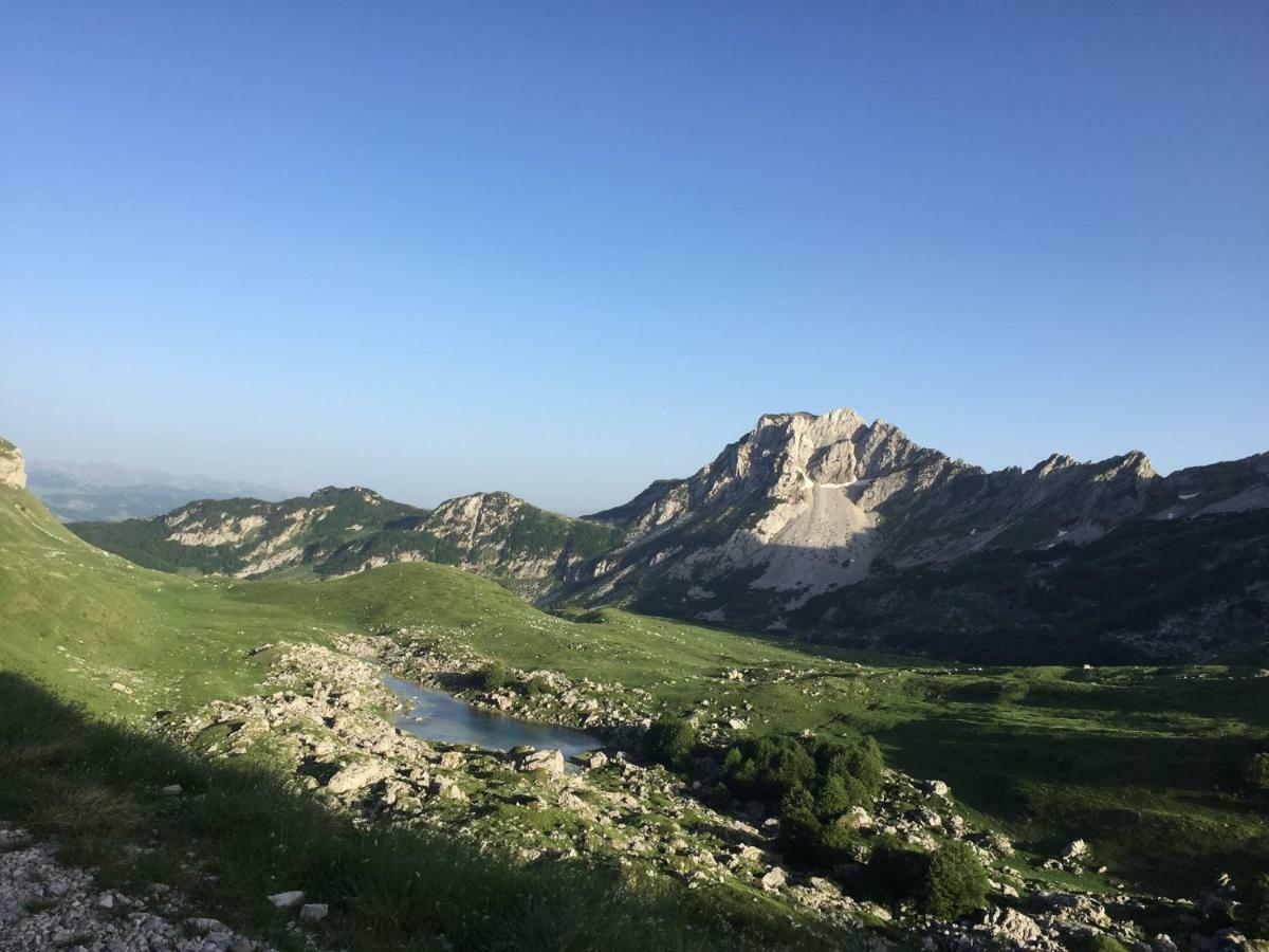 Žabljak 扎科维奇斯塔纳旅馆酒店 外观 照片